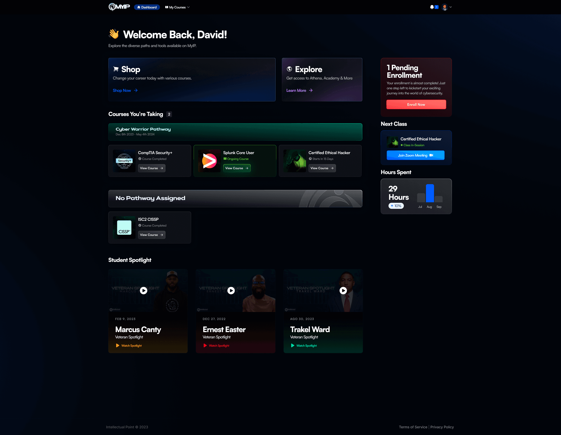 Intellectual Point platform dashboard